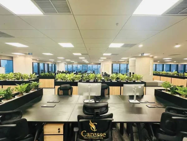 Văn phòng Caresse với dãy bàn làm việc dài và hàng cây xanh chạy dọc lối đi